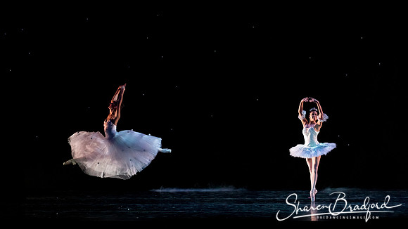 Nutcracker matinee pc Sharen Bradford-5093