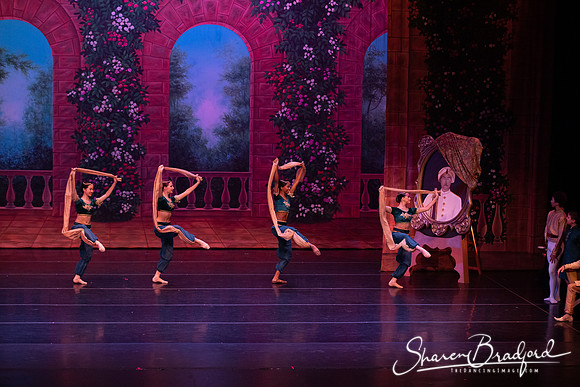 TDC La Bayadere pc Sharen Bradford-2717