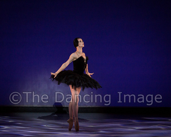 Olga Pavlova_The Dying Swan-3873