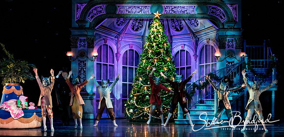 Nutcracker matinee pc Sharen Bradford-4685