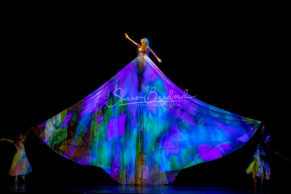 MOMIX Alice pc Sharen Bradford-1202