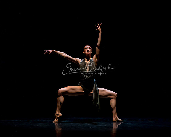 Elegy 2021 pc Sharen Bradford-0408
