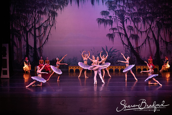 TDC La Bayadere pc Sharen Bradford-3130