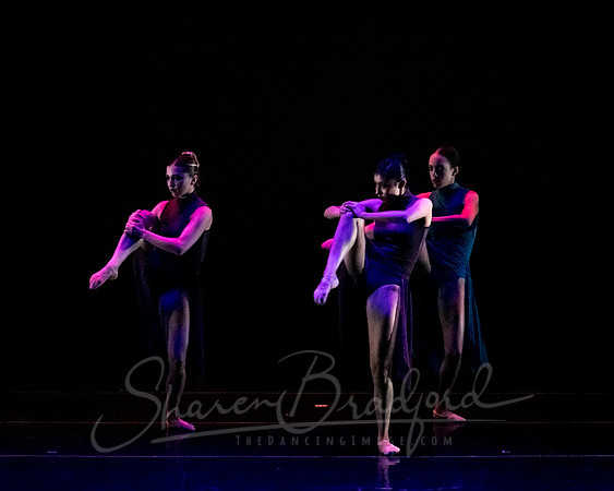 Ballet Frontier pc Sharen Bradford-3278