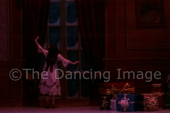 Nutcracker Sat-2758