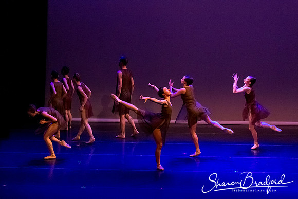 Ballet Dallas Seasons pc Sharen Bradford-1543
