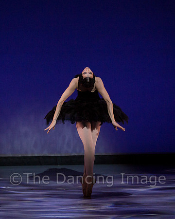 Olga Pavlova_The Dying Swan-3912