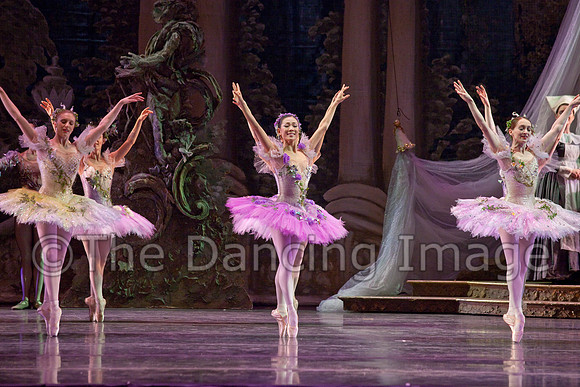 TB Sleeping Beauty Wed.-0099