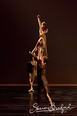 Ballet Dallas Seasons pc Sharen Bradford-1425