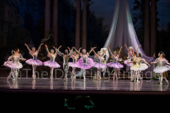 TB Sleeping Beauty Wed.-0028