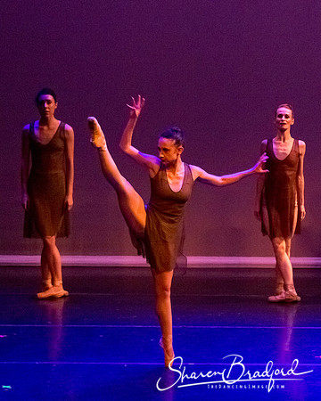 Ballet Dallas Seasons pc Sharen Bradford-1449