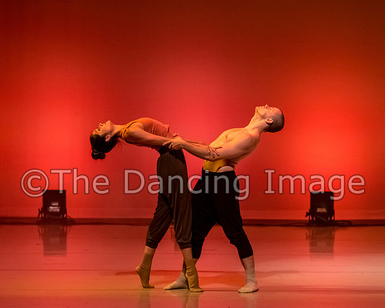 IMG_1949