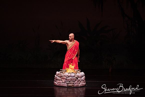 TDC La Bayadere pc Sharen Bradford-2650