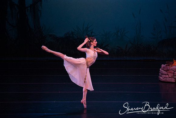 TDC La Bayadere pc Sharen Bradford-2576