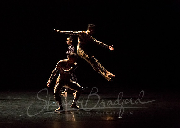 Petronio Dance_Hardness 10_ pc Sharen Bradford-7254