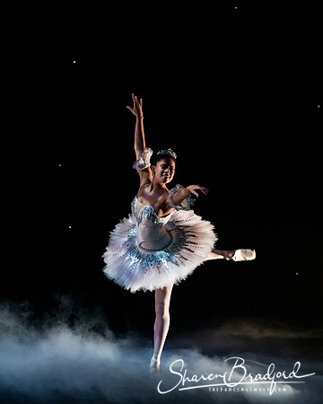 Nutcracker matinee pc Sharen Bradford-5019