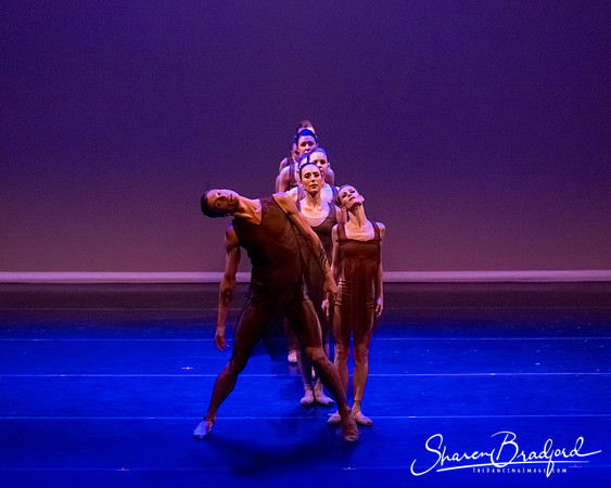 Ballet Dallas Seasons pc Sharen Bradford-1483