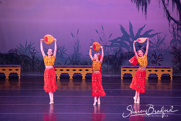 TDC La Bayadere pc Sharen Bradford-2904