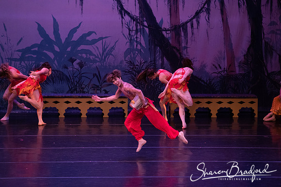 TDC La Bayadere pc Sharen Bradford-2978