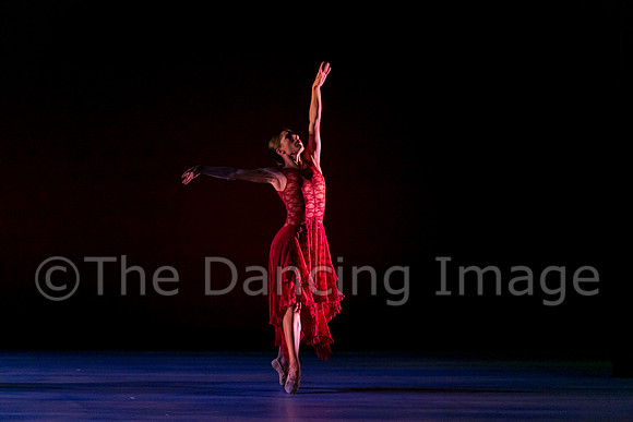 Chado Danse-2839