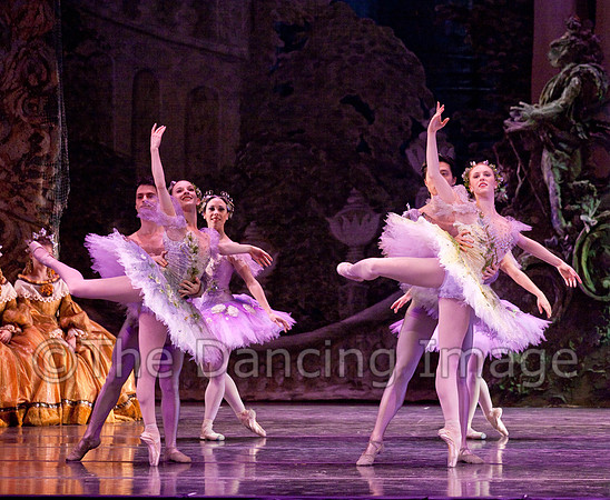 TB Sleeping Beauty Wed.-0119