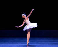Dying Swan pc Sharen Bradford-1190