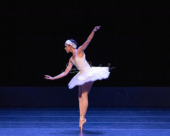 Dying Swan pc Sharen Bradford-1190
