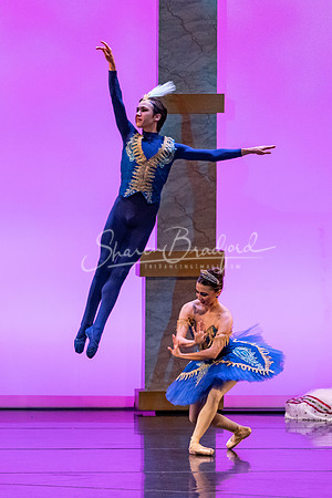 Ballet NTX Sleeping Beauty pc Sharen Bradford-1822