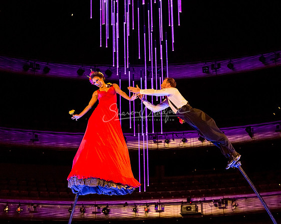 Swoon pc Sharen Bradford-8789