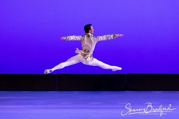 TBT Sleeping Beauty Pas pc Sharen Bradford-1506