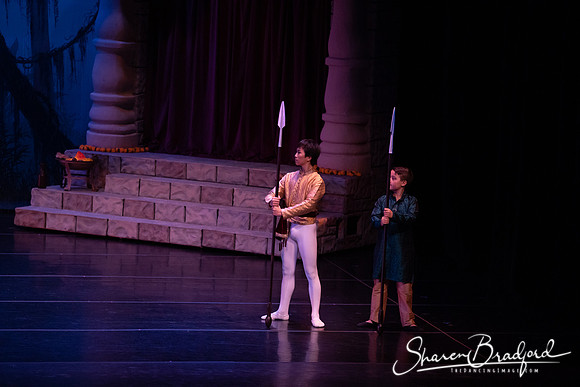 TDC La Bayadere pc Sharen Bradford-2396