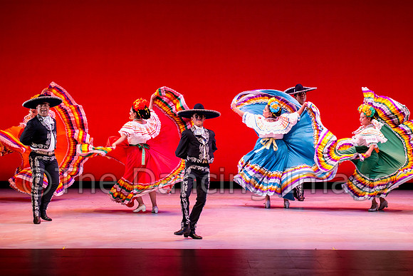 Mosaic Dance Project-0332
