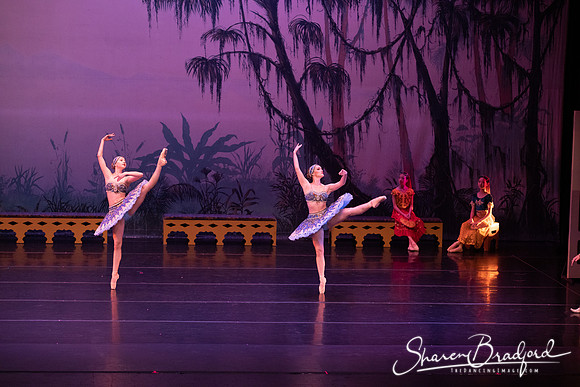 TDC La Bayadere pc Sharen Bradford-3065