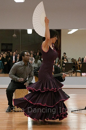 Flamenco-2-76