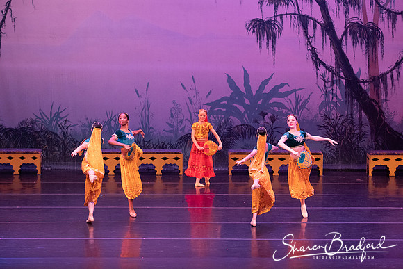 TDC La Bayadere pc Sharen Bradford-2875