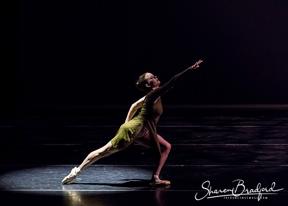 Ballet Dallas Seasons pc Sharen Bradford-1341