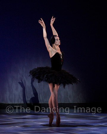 Olga Pavlova_The Dying Swan-3837