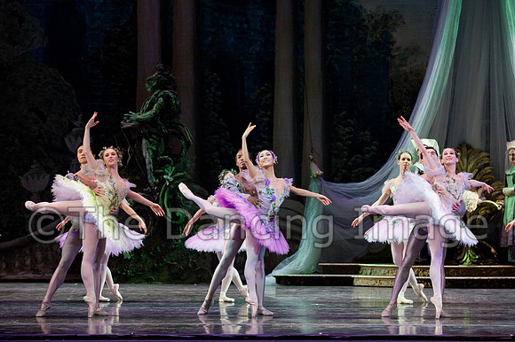 TB Sleeping Beauty Wed.-0121