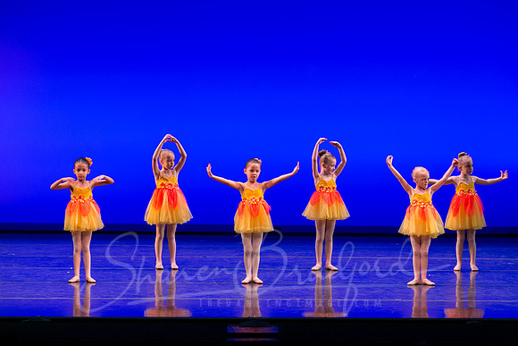 Irises-1014