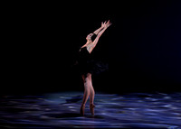 Olga Pavlova_The Dying Swan-3847