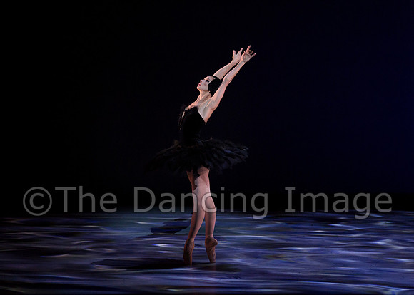 Olga Pavlova_The Dying Swan-3847
