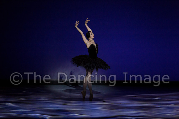 Olga Pavlova_The Dying Swan-3930