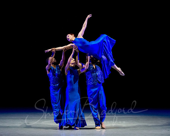 Following Echoes - pc Sharen Bradford-3269