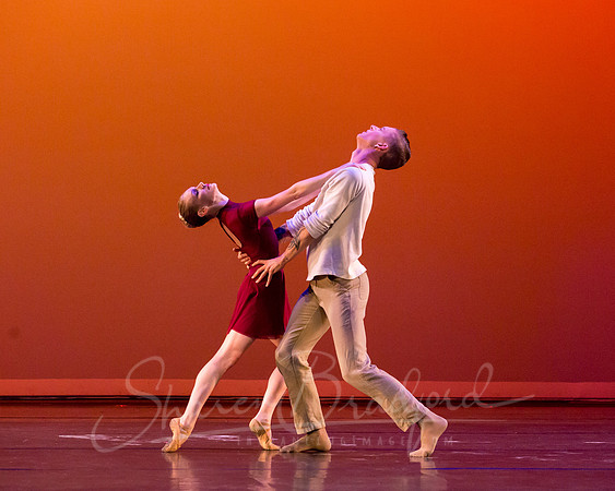 Falling Light pc Sharen Bradford-0572