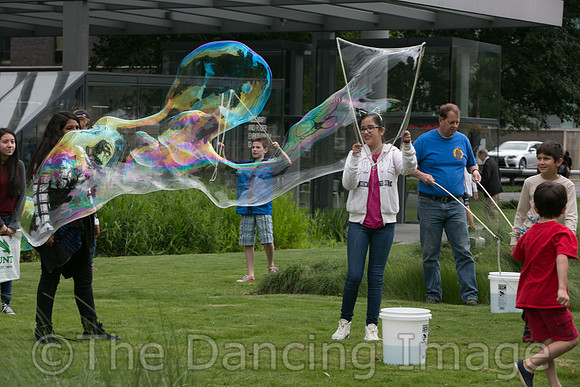MJS_5226
