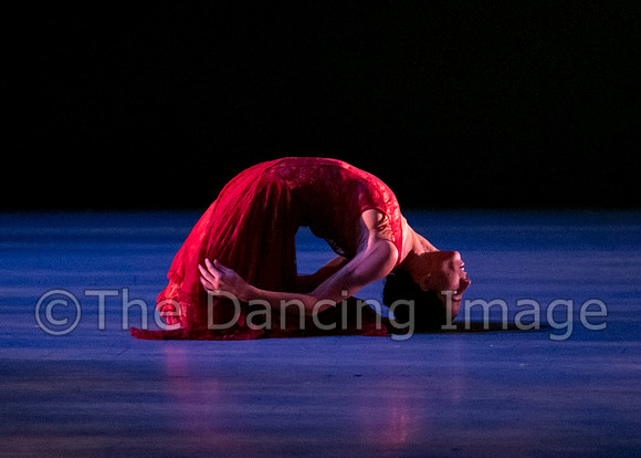 Chado Danse-2813