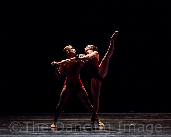 IMG_1655