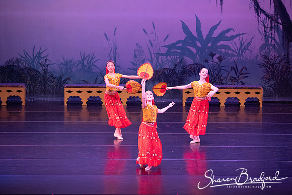 TDC La Bayadere pc Sharen Bradford-2870