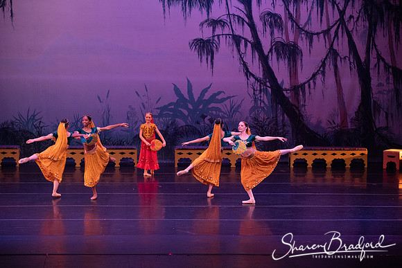 TDC La Bayadere pc Sharen Bradford-2906