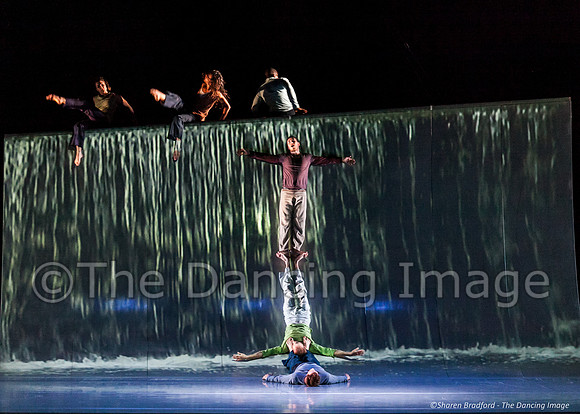 Motionhouse SCATTERED-0381